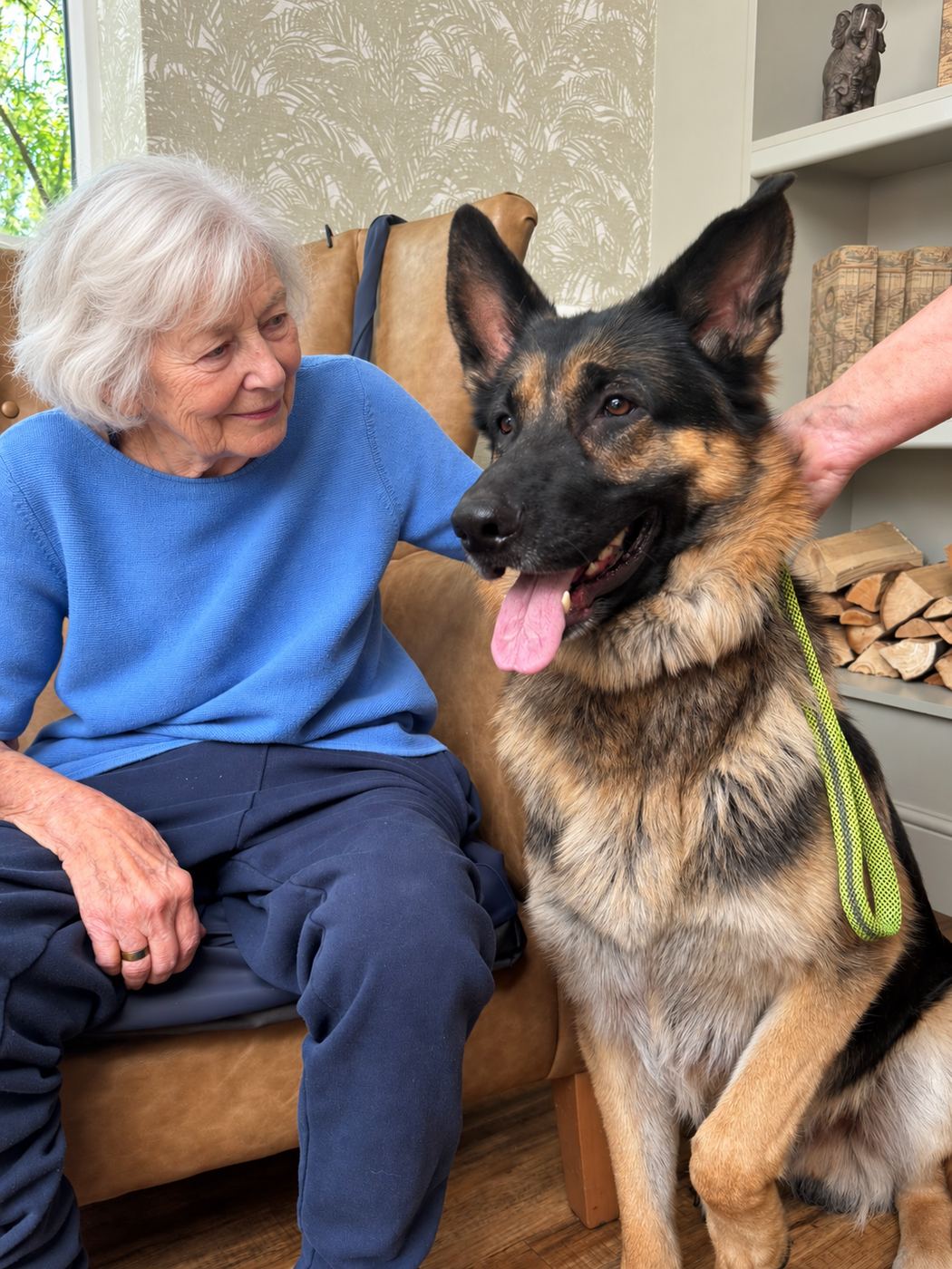 A resident stroking a German Shepherd dog that sits beside her chair.